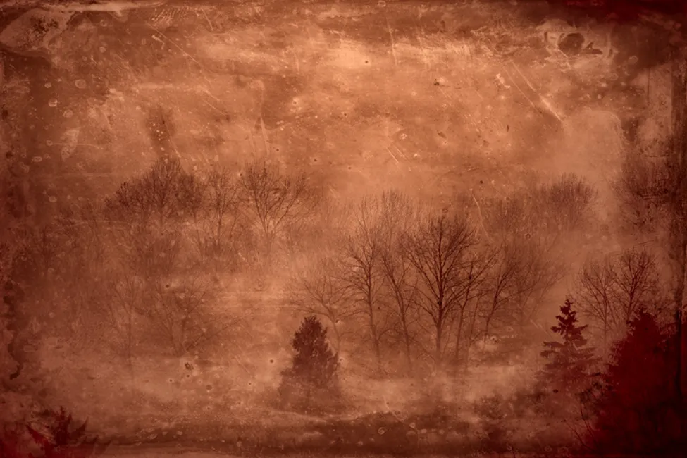 trees tintype