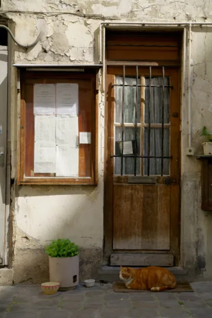 French doors series #1