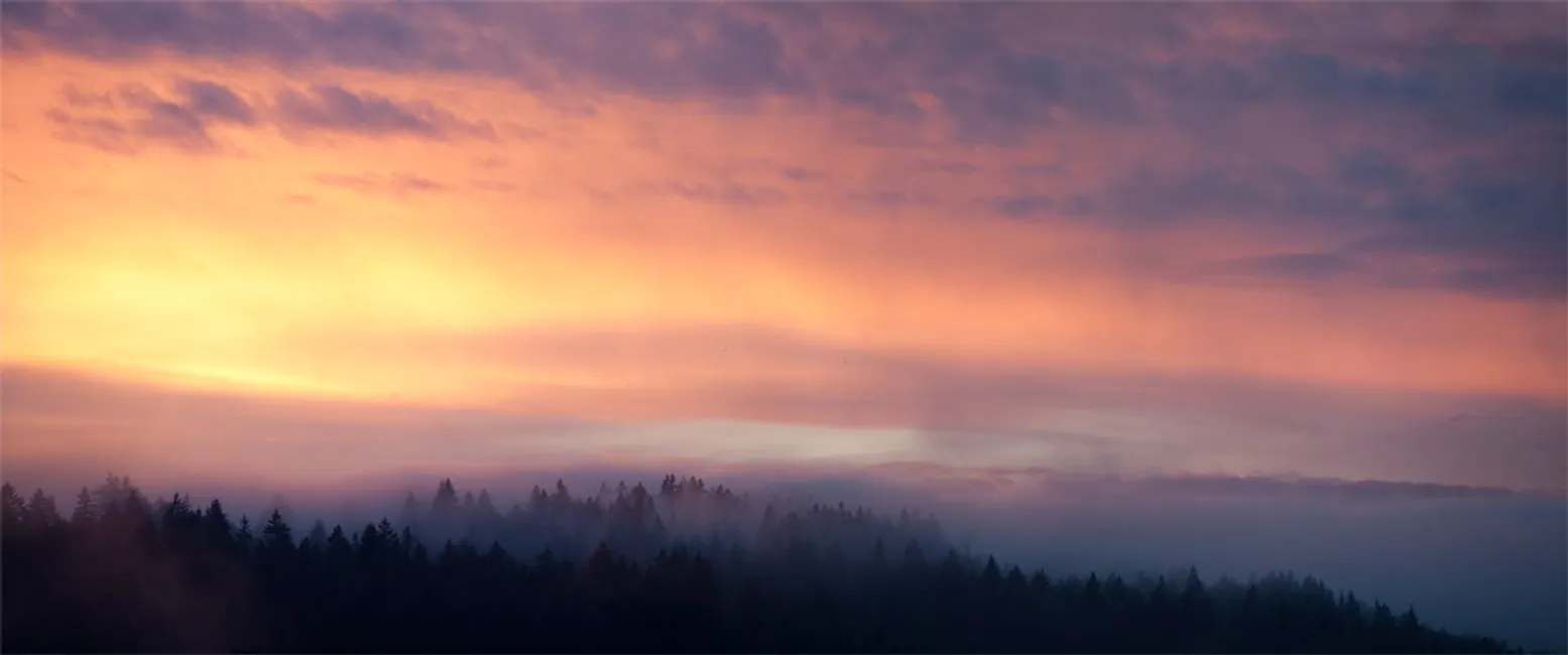 foggy series: sunset days